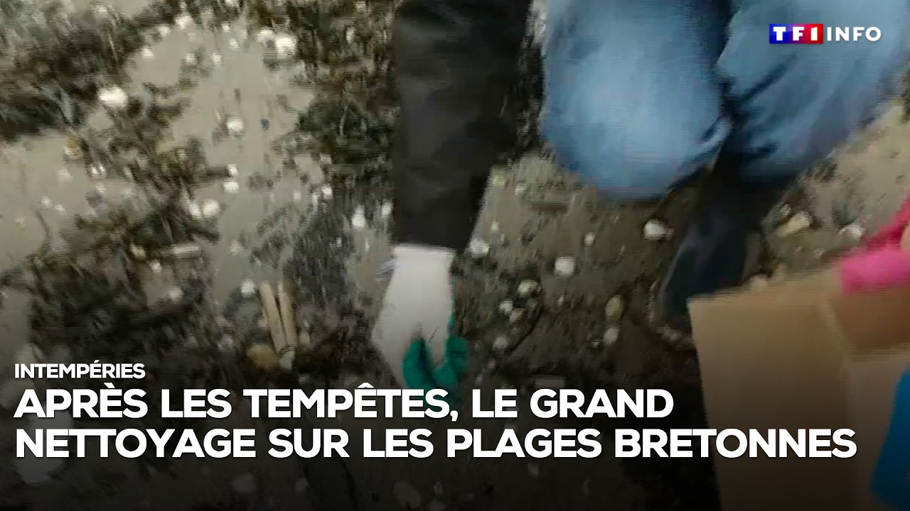 Intempéries : après les tempêtes, le grand nettoyage sur les plages