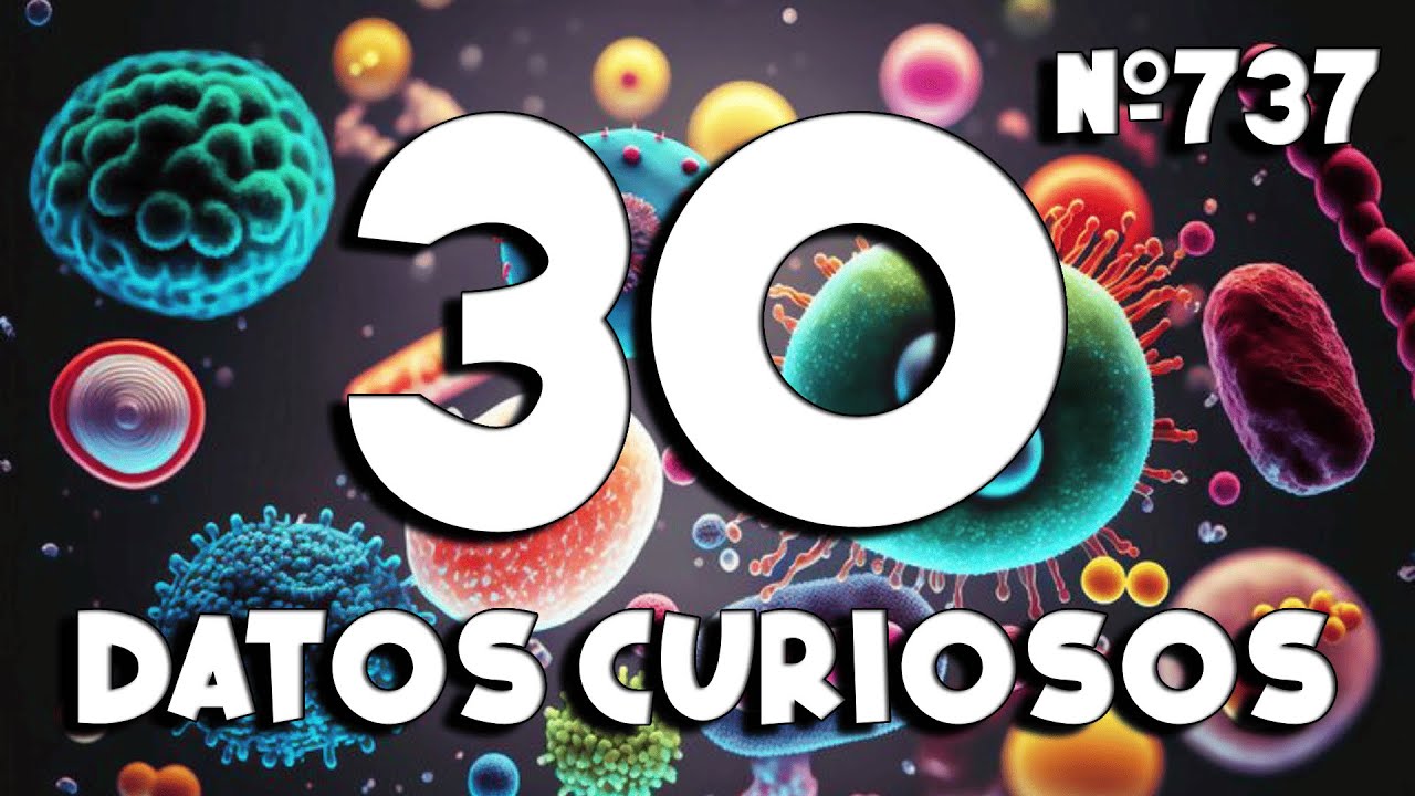 30 DATOS CURIOSOS y COSAS QUE NO SABÍAS ⏰😲 737 