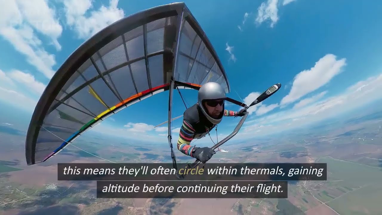 Soaring Without Power: The Surprising Secrets of Engineless Flight