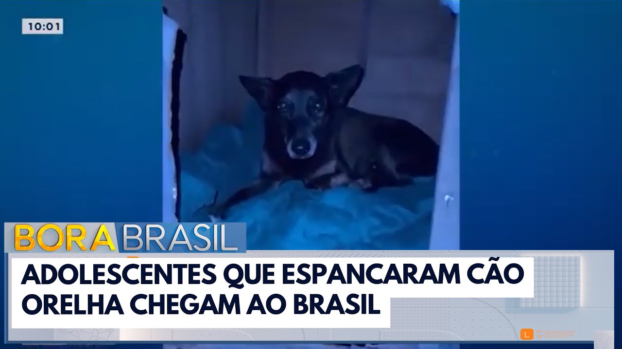 Adolescentes que espancaram c&atilde;o Orelha chegam no Brasil | Bora Brasil