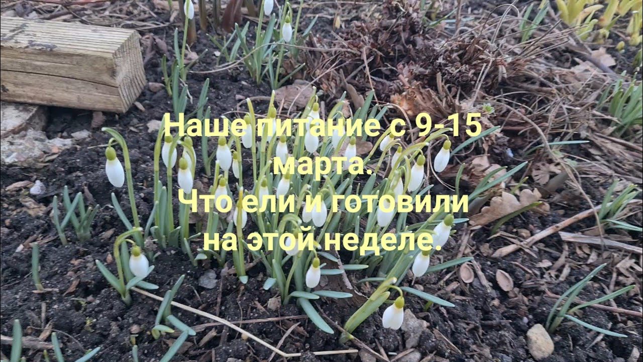 Наше питание 9-15 марта. Что ели и готовили на этой неделе.