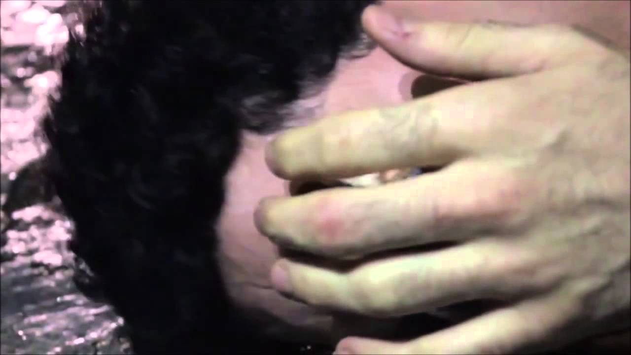 Cenas Pt 8 de Madame Deslize/Elias (Renato Ferrier) em Divando