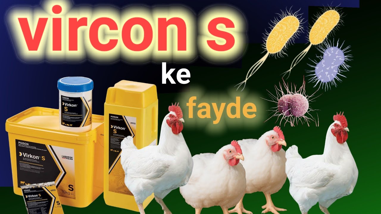 Poultry Farming me Virkon S ka Upyog – Biosecurity aur Disease Control ka Best Tarika