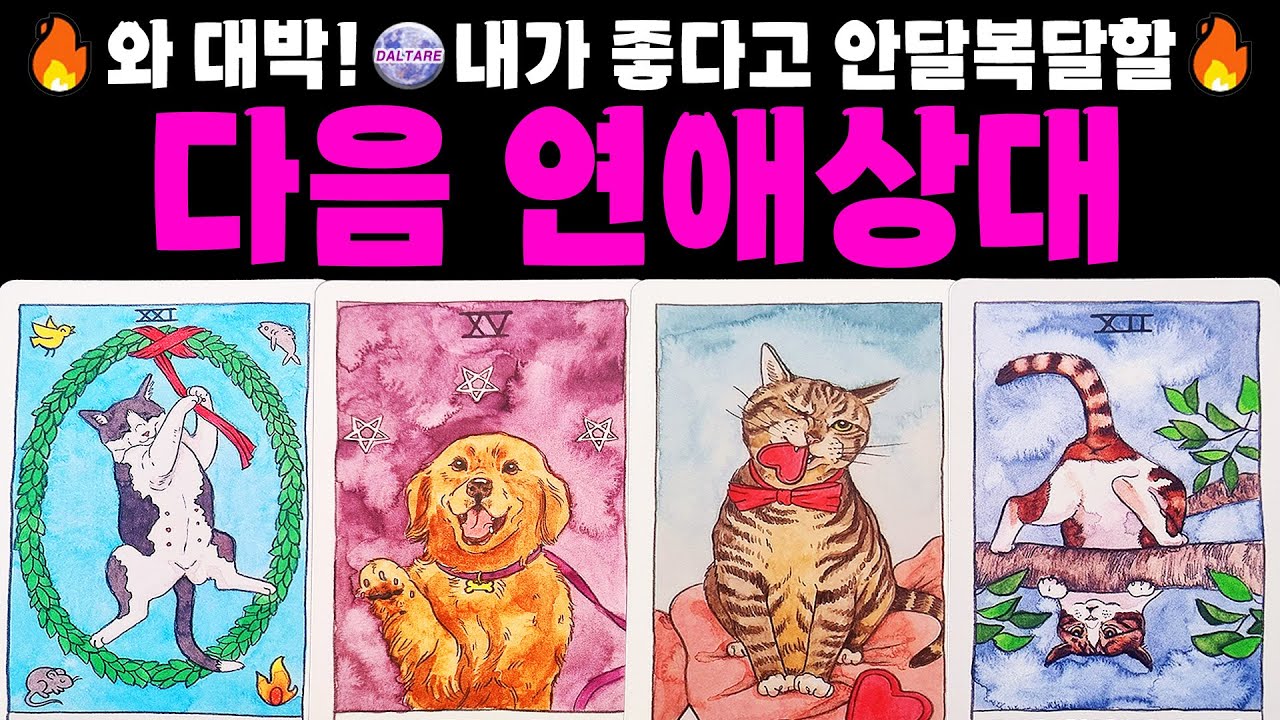 [타로] 🔮😳와 대박!🔥내가 좋다고 안달복달할 다음 연애상대💕🔥🔮외모, 분위기, 직업, 시기 확인해보세요🥳