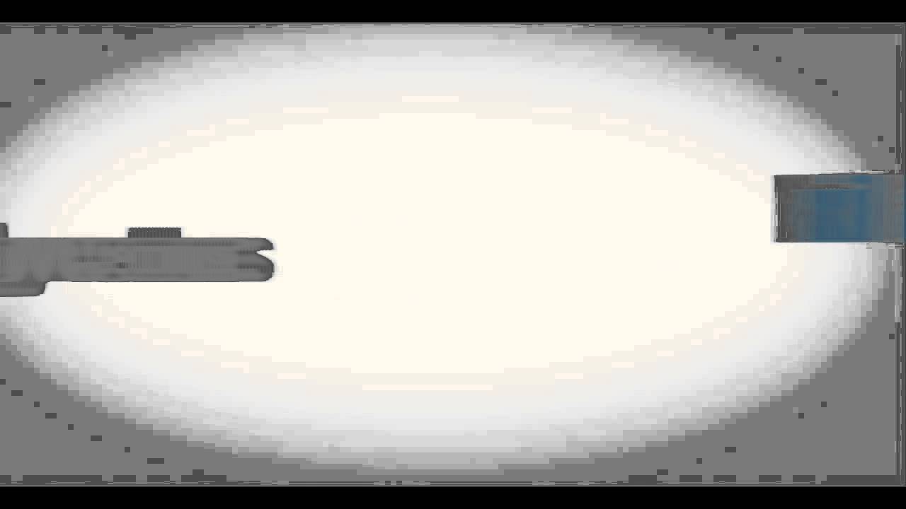 WHO Vector borne disease animation WHD2014