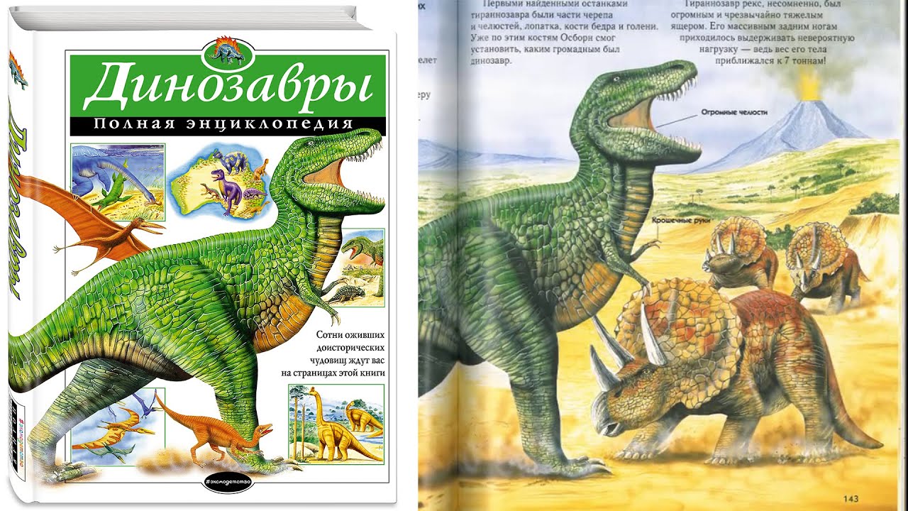 Обзор книги 