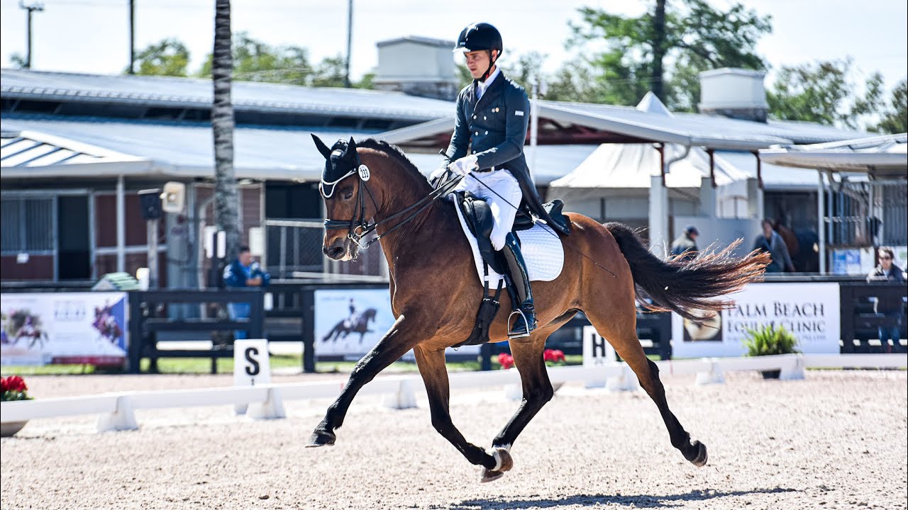 Grand Prix Freestyle Leif & Classy Sinclair 73.037%