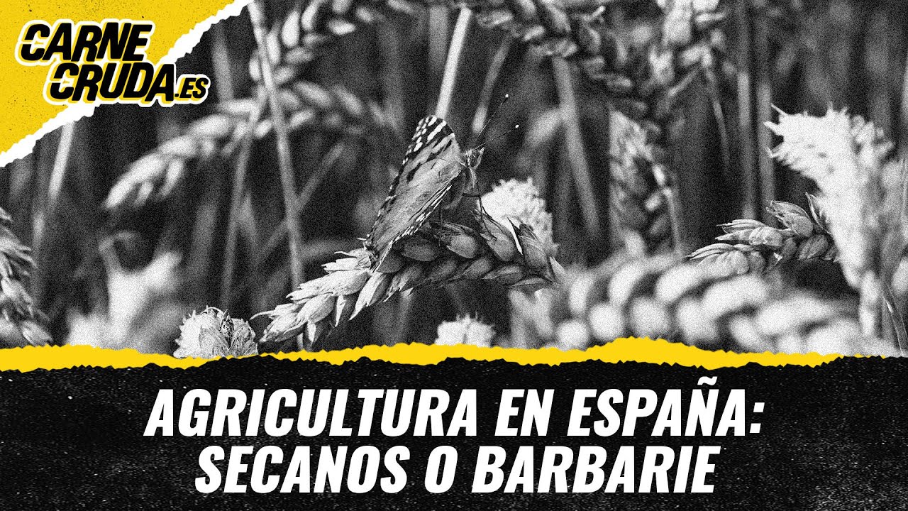 T11x129 - Agricultura en España: secanos o barbarie (CARNE CRUDA)