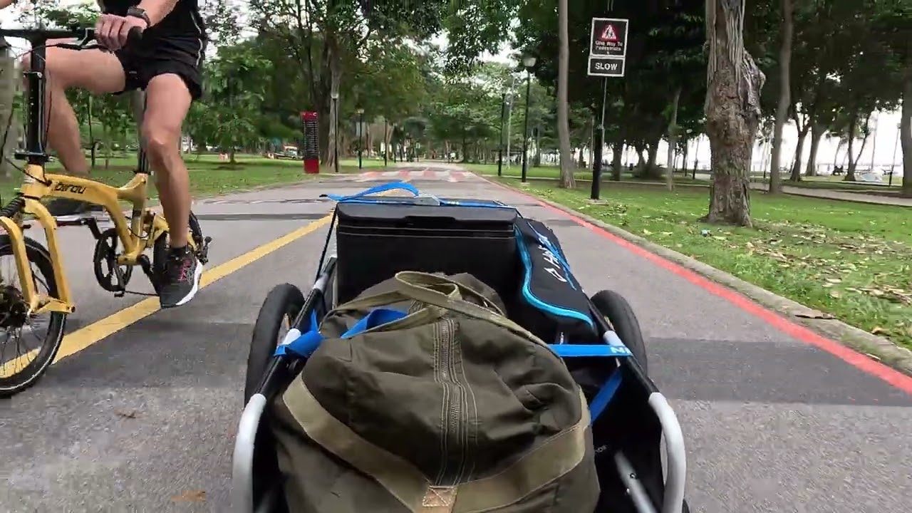 My New Burley Flatbed Cargo Trailer for Camping
