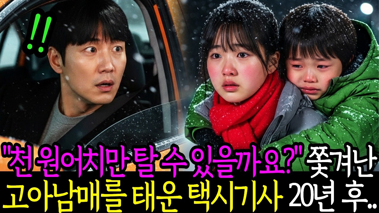 부모 잃은 고아 남매를 태운 택시 기사, 20년 후 택시 기사는 오열하는데...ㅣ노후사연ㅣ감동사연ㅣ사연라디오ㅣ오디오북