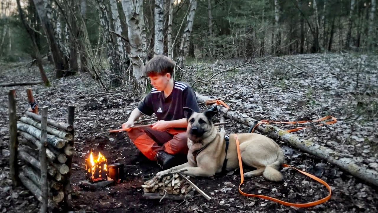 Wildcamping mit Hund | Eine Nacht im Wald