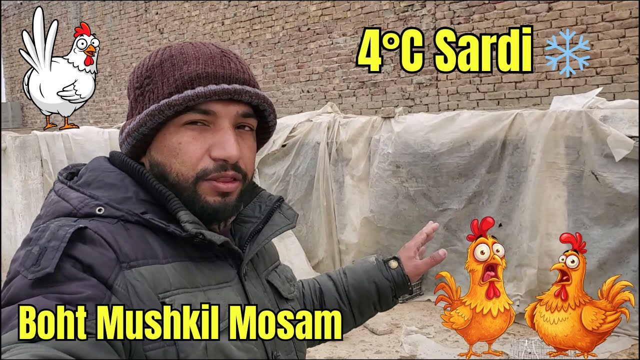Sardi 4°C Tak Chali Gayi ❄️ | Is Mosam Mein Birds Sambhalna Mushkil Ho Gaya