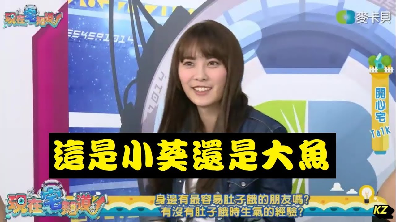 《現在宅知道精華》這是小葵還是大魚20190403