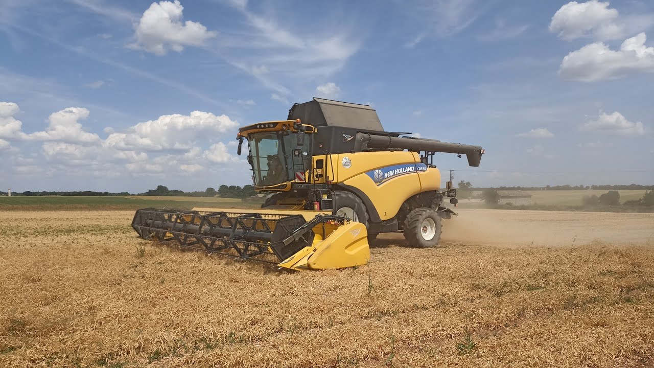 top départ : moisson 2023 !! | New Holland CR8.90