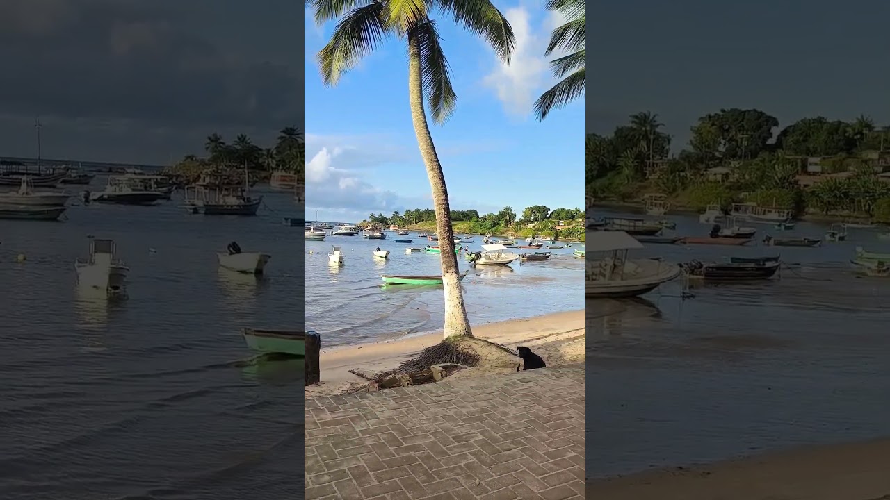 Praia da Coroa e Mirante do Xar&eacute;u: &oacute;timos lugares para ver o p&ocirc;r do sol em Itacar&eacute;! #bahiabrazil