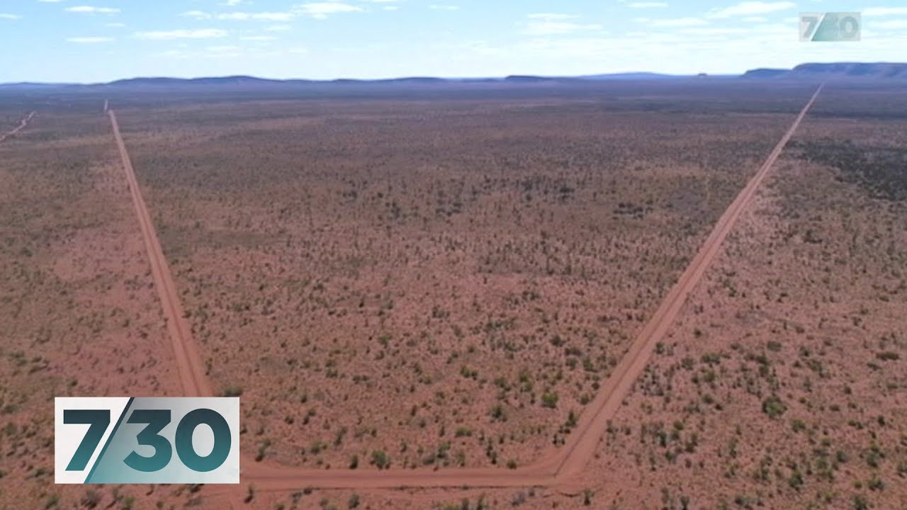 World's biggest cat-proof fence | 7.30