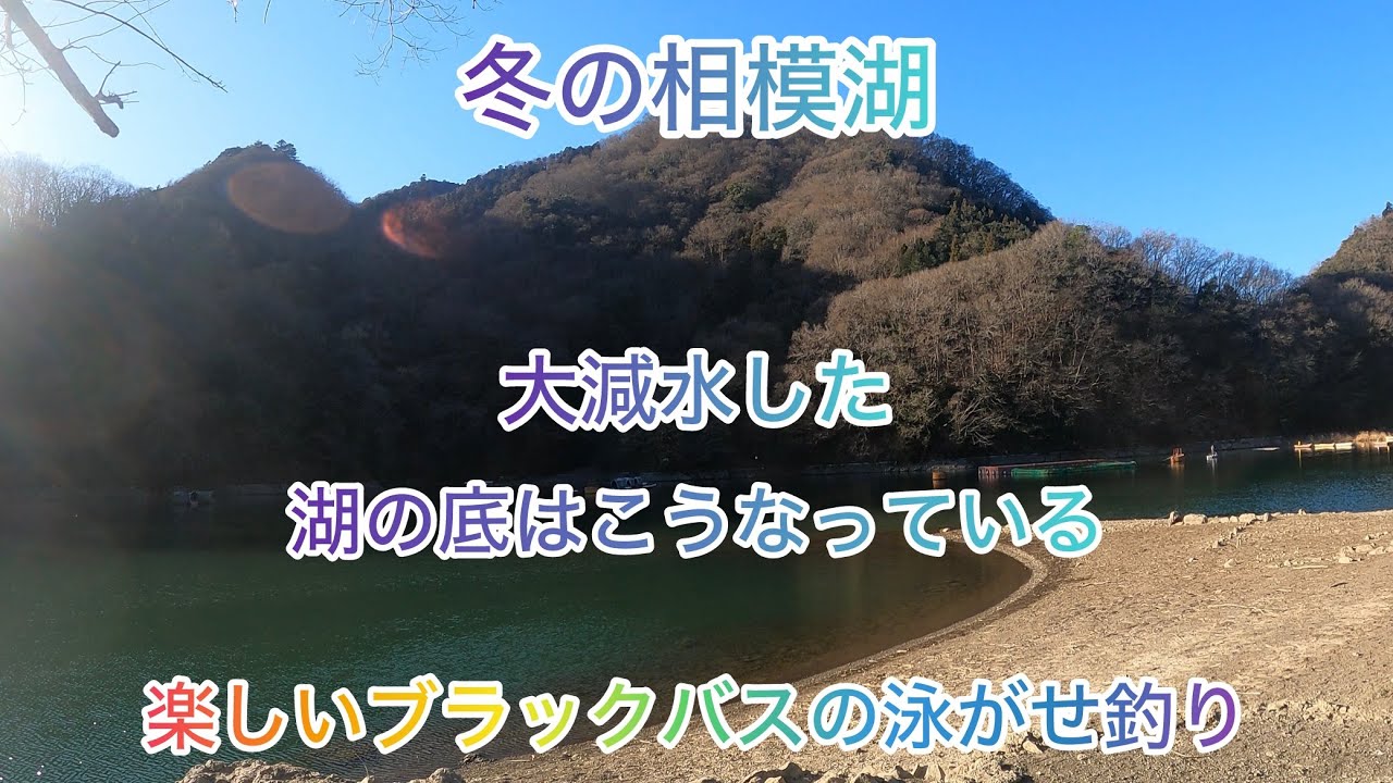 相模湖バス釣り　青田ワンドの湖底を見てきました#バス釣り #相模湖#釣り#ブラックバス#泳がせ釣り 