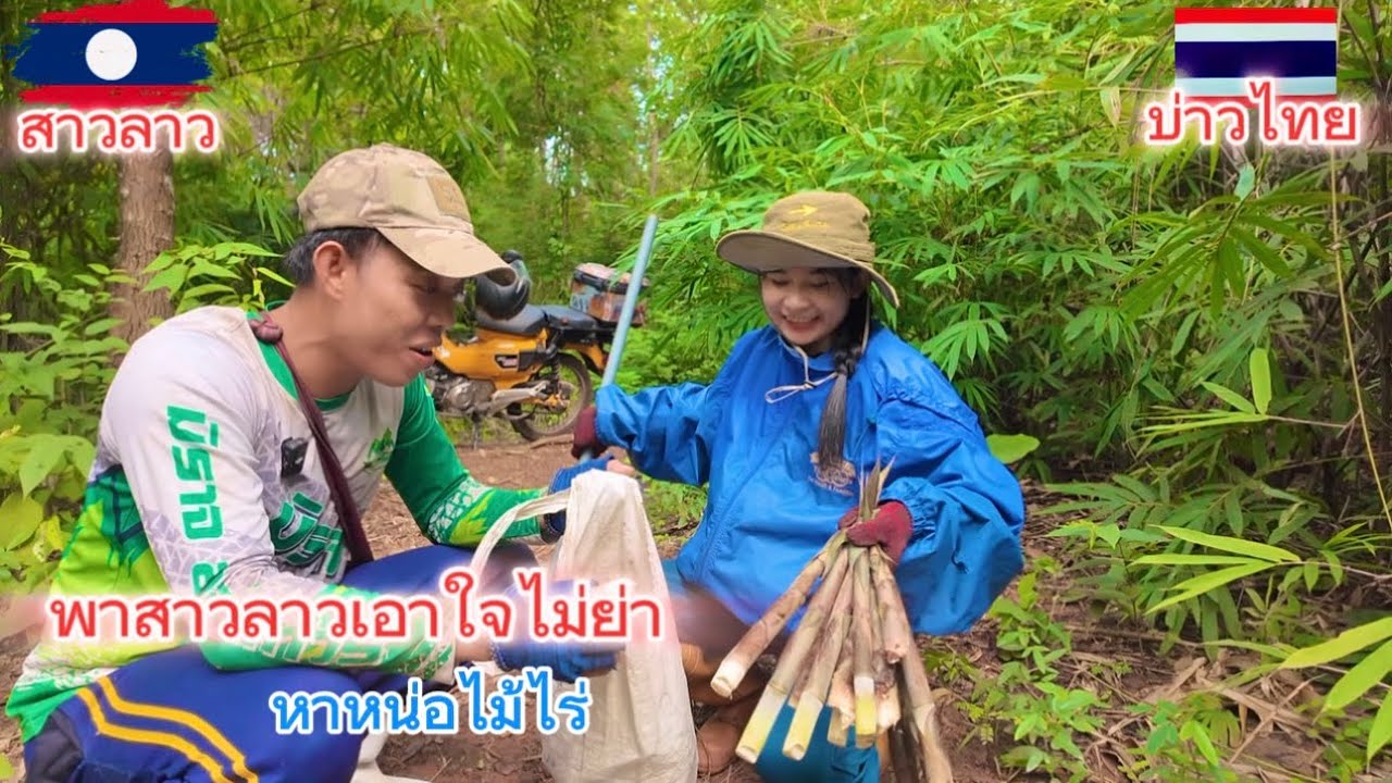 พาสาวลาว🇱🇦หาหน่อไม้ีไร่เอาใจแม่ย่า