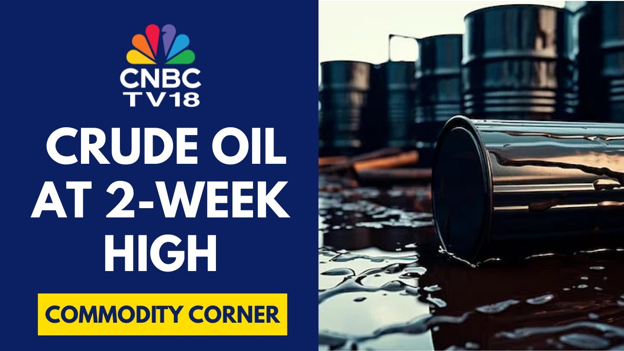 India Having To Rejig Its Crude Oil Imports Away From Russia Is Complex: Vanda Insights | CNBC TV18
