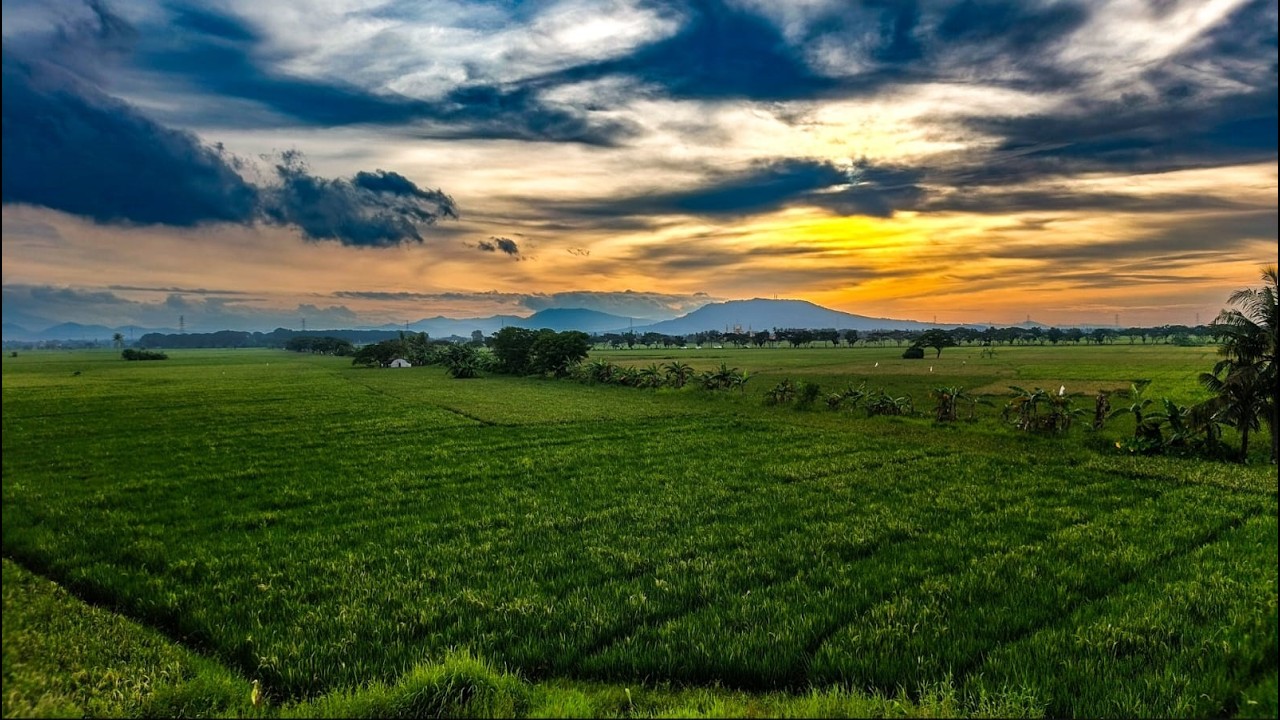Chasing the Sun: Where the Mountains Meet the Paddy | Relaxing Music | Meditation | Sunset