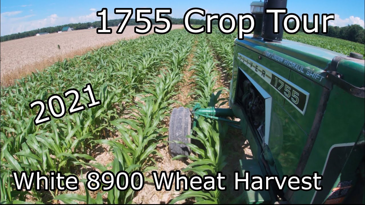 1755 Oliver Crop Tour and 8900 White Wheat Harvest 2021