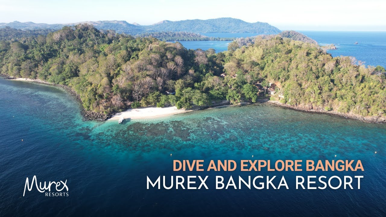 Dive and Explore North Sulawesi with Murex Bangka Resort | Indonesia
