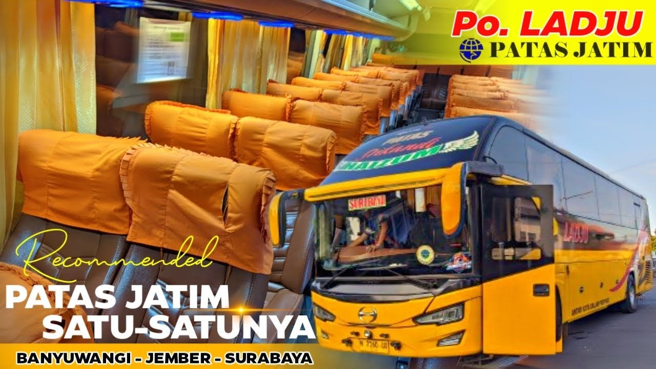 KONSISTEN 🔥Trip Po. LADJU PATAS Banyuwangi -  Surabaya via Jember || 2025