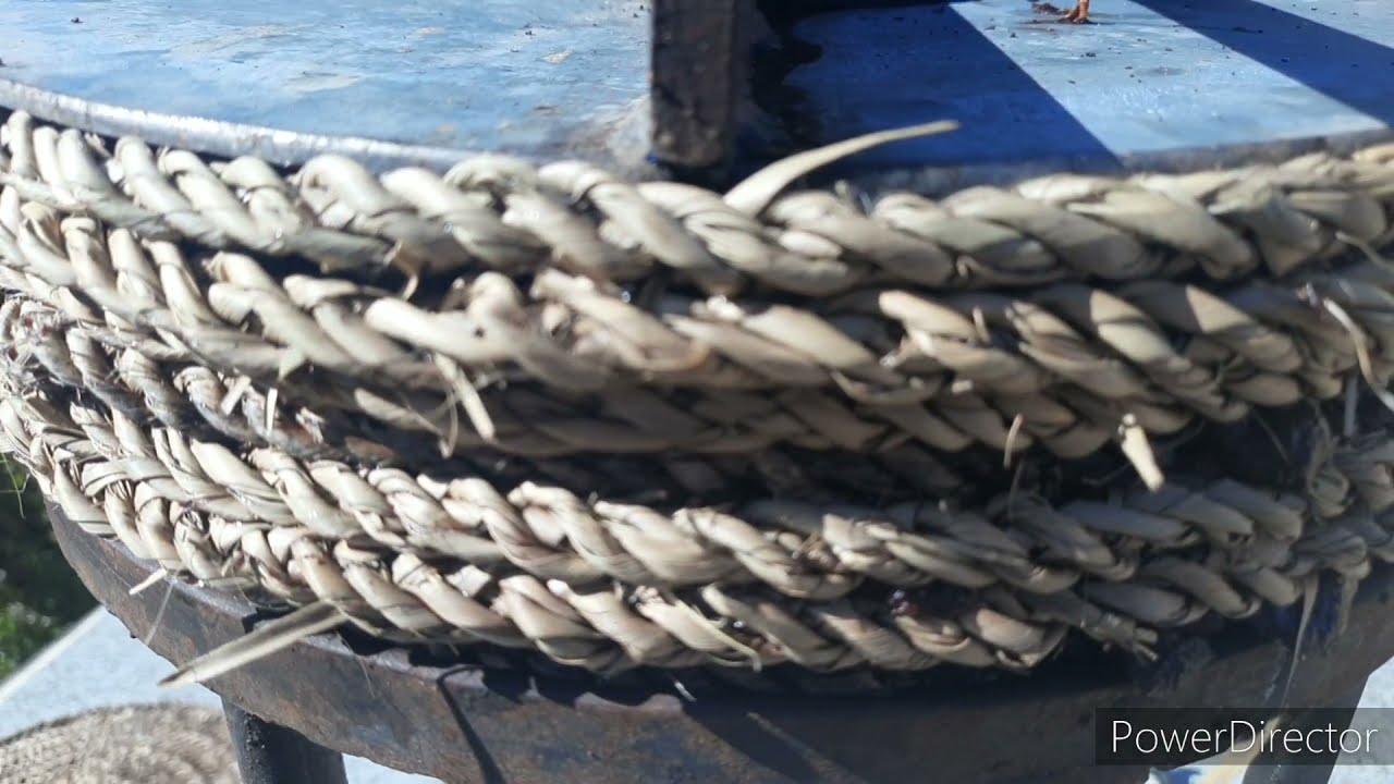 معصرة منزلية لزيت الزيتون.