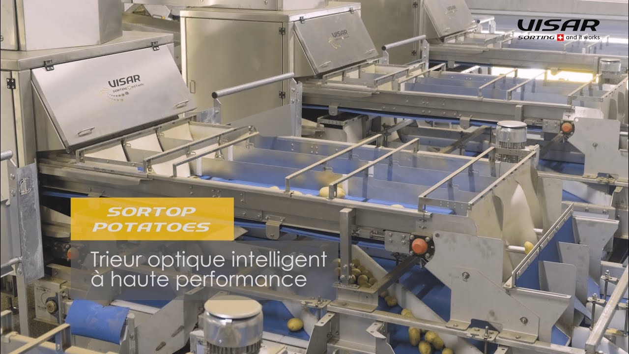 Visar Sorting Sàrl : Sortop Potatoes - Trieur optique à haute performance pour pommes de terre