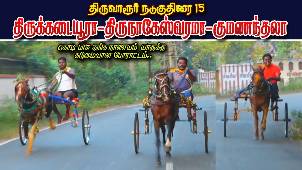 1திருவாரூர் குதிரை பந்தயம்
