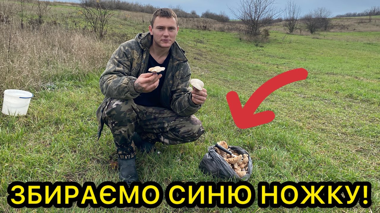Пішли з дівчиною по гриби й натрапили на синю ножку!