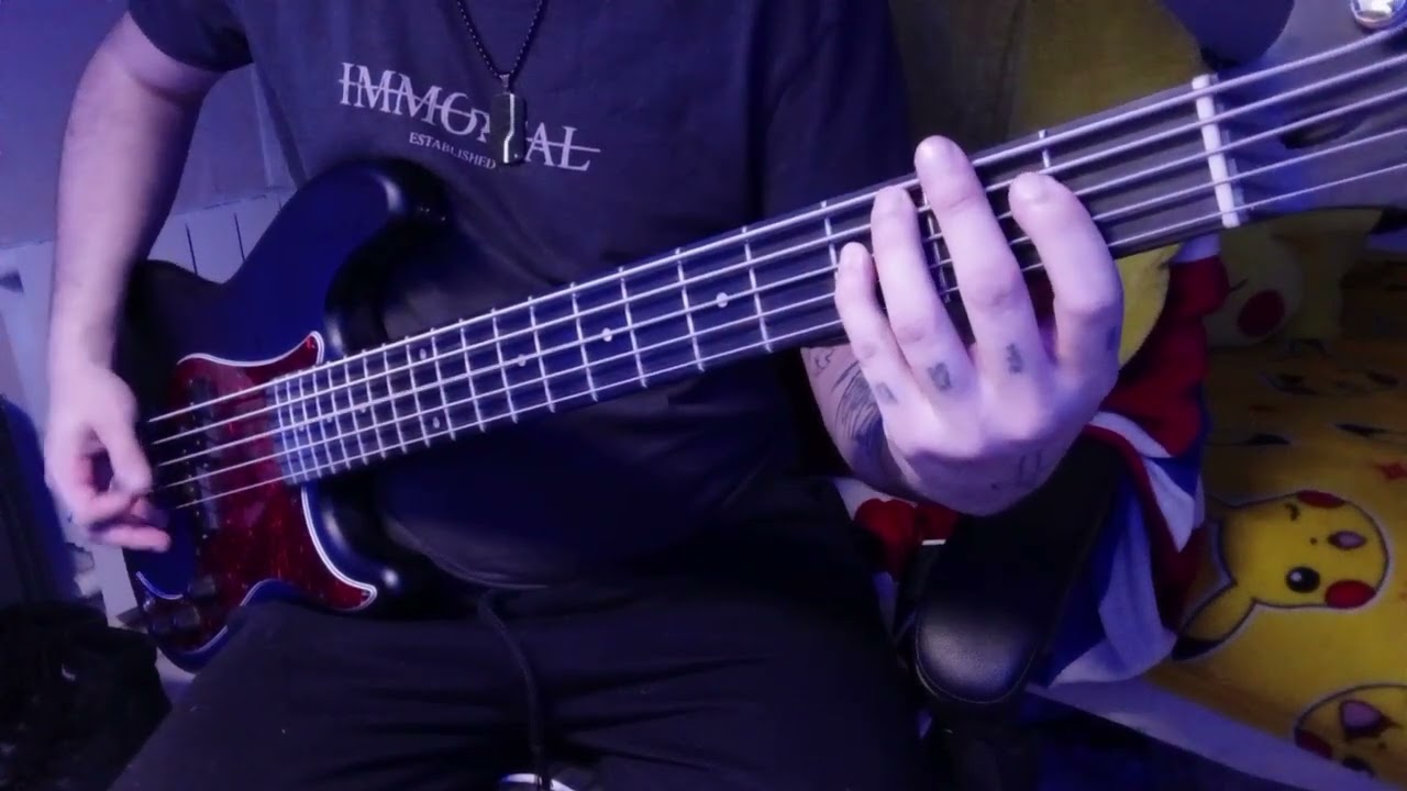 Sum 41 / Pieces (Bass Cover)