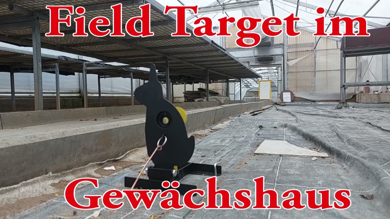 Field Target im Gewächshaus #Airgun #rifle #airrifle