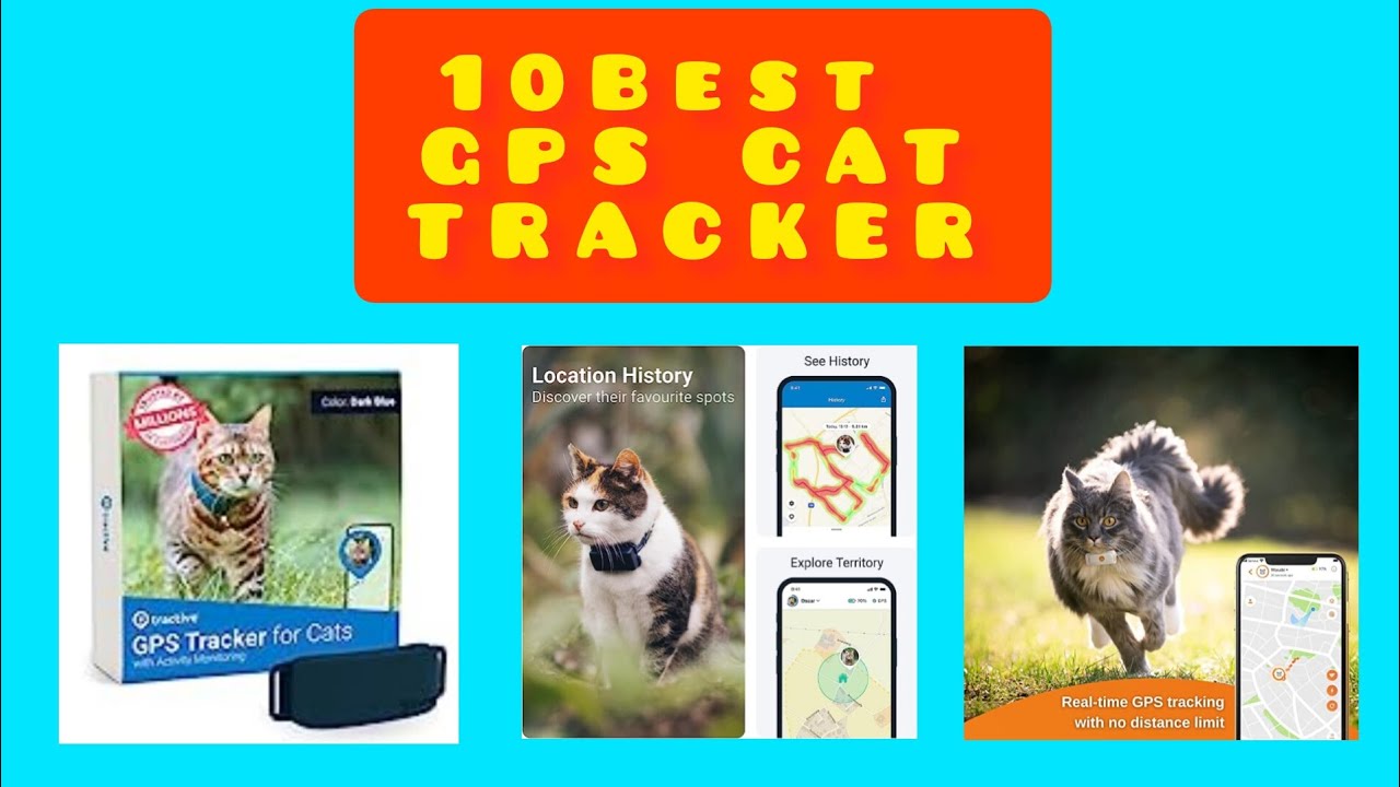 10 Best Cats  GPS tracker on Amazon 2023