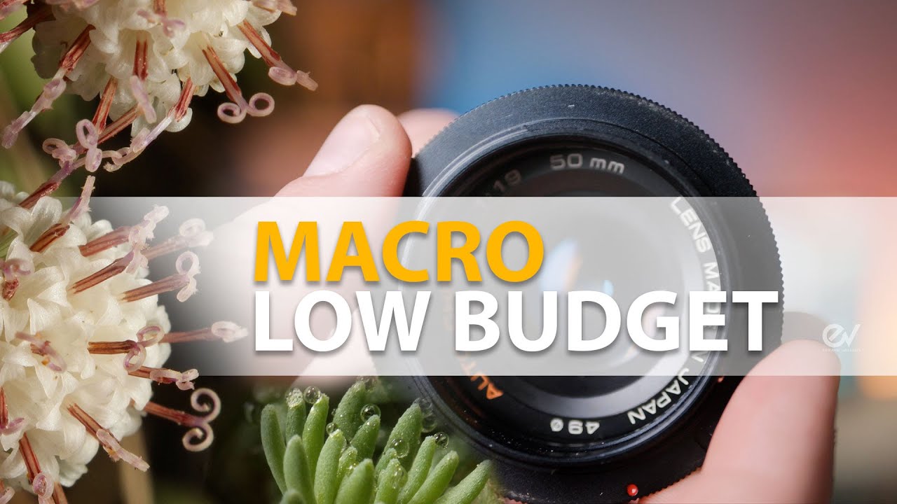 Macro Fotografia Economica: Anello di Inversione per Canon e altre Fotocamere Digitali