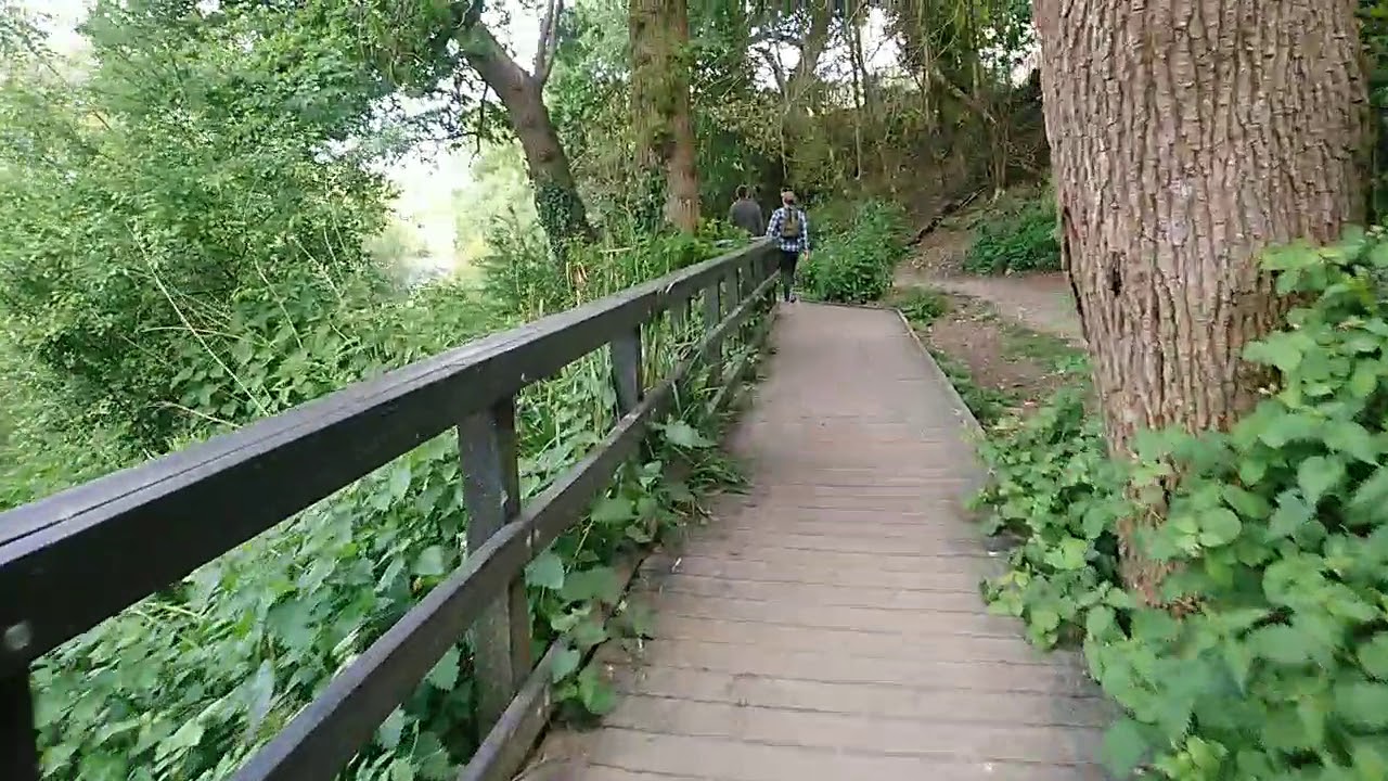 Stour Valley river walk 16 may 2020.