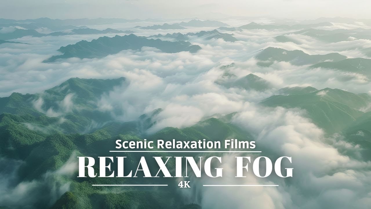Relaxing Fog 4K - Gentle Scenes for Calm & Focus