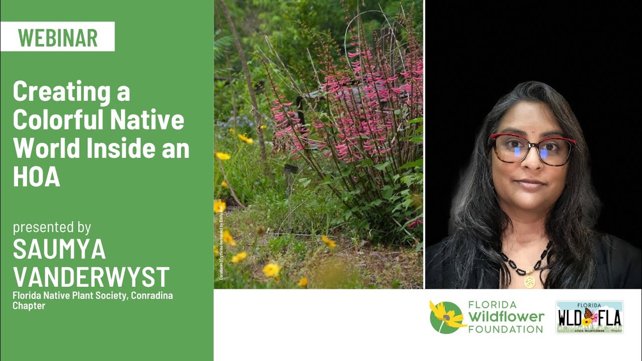 Creating a Colorful Native World Inside an HOA