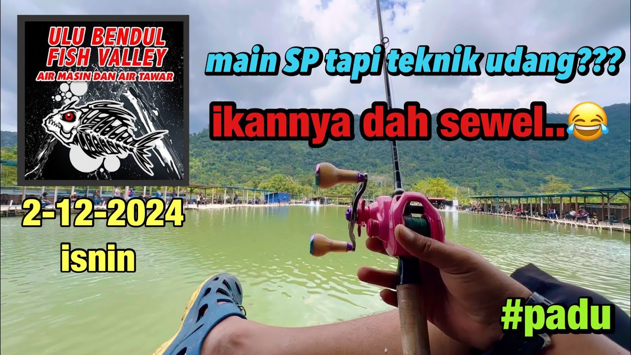 IKAN MENGGILA DI UBFV❗️| 2-12-2024 ISNIN | #fishing #fishinglife