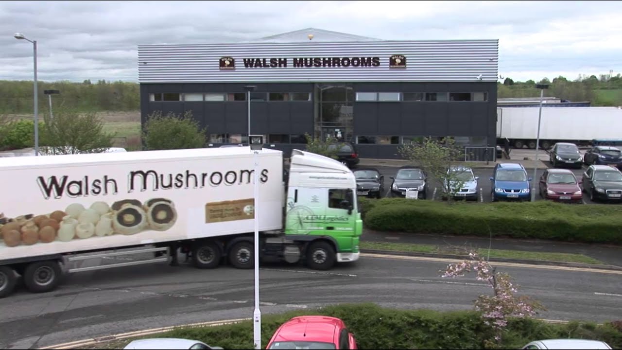 Walsh Mushrooms: we have a great story to tell!
