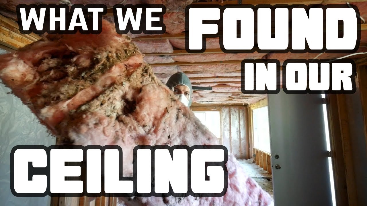I Can't Believe we were Living in This - Gutting the Living Room - Home Renovation