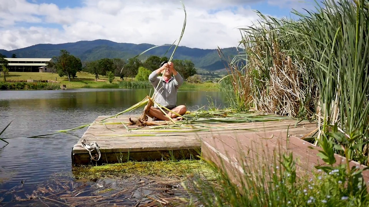 Cattail Harvesting With Sergei Boutenko | Foraging for Wild Edibles