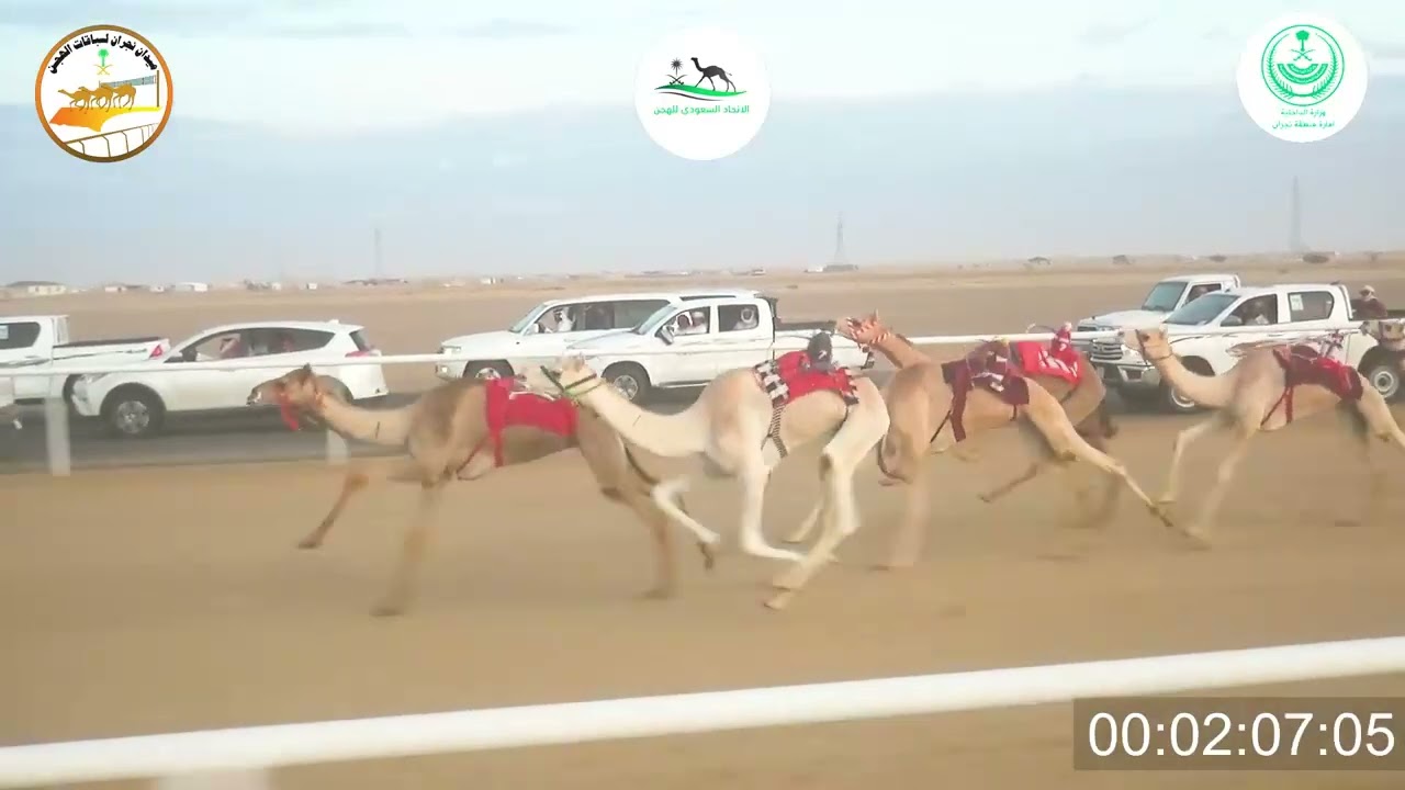 ١/ بكار حقايق / ٣٠٠٠م / الكايده / جابر خميس الهمامي