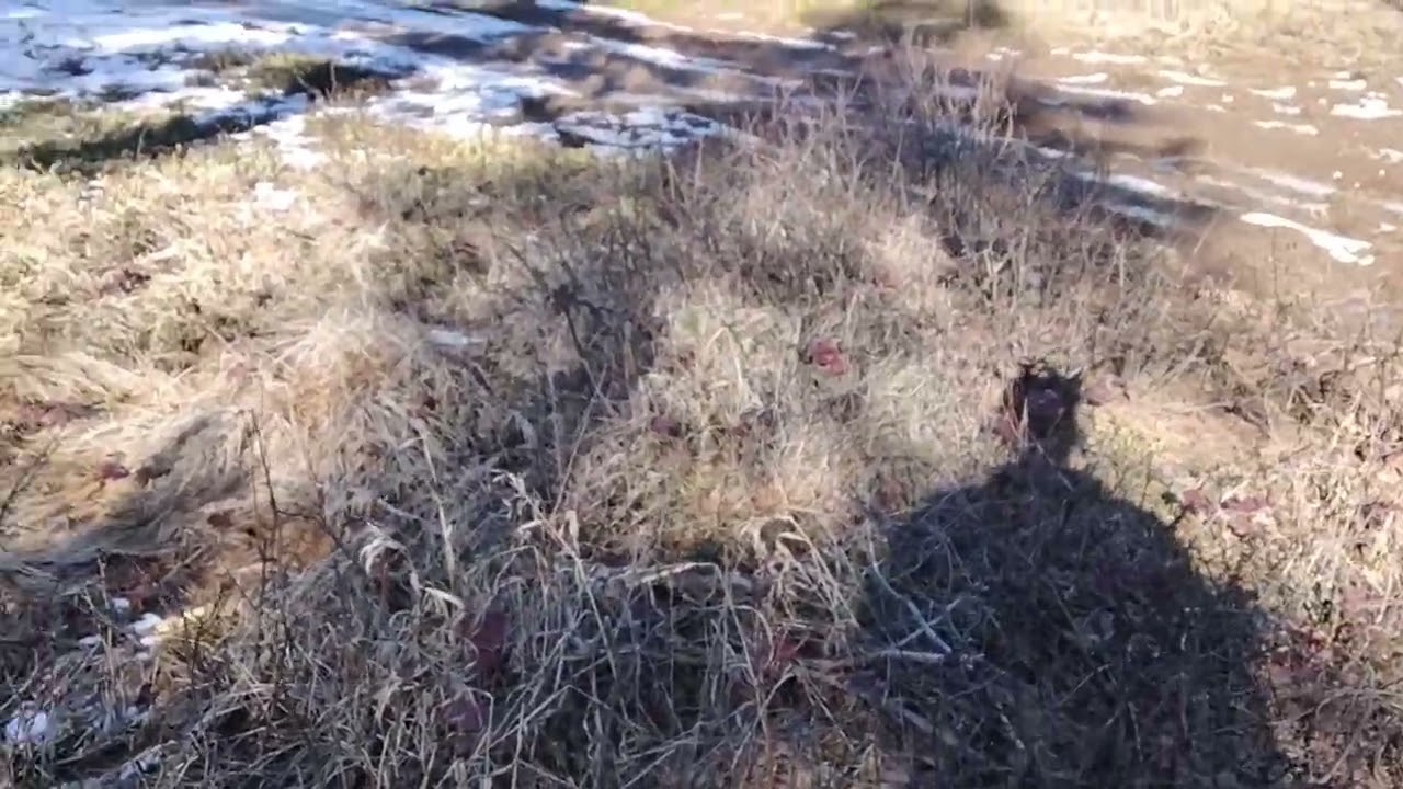 Short new trail to entrance of another trail with roundabout 