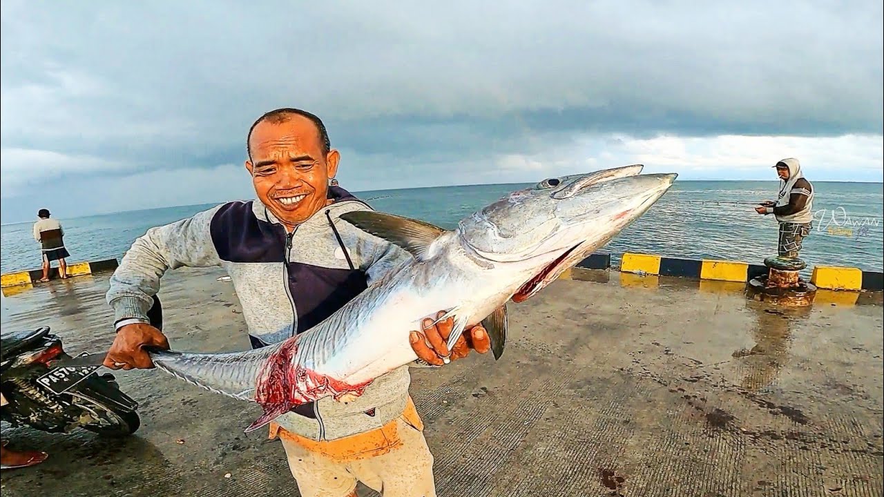 sampai capek ..tarik tenggiri didermaga