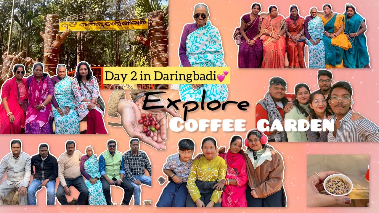 Day 2 in Daringbadi!🌿 Coffee garden explore କରିଲୁ🥰☕️ ସକାଳର ସୁନ୍ଦର ଦୃଶ୍ୟ 🌿🌄 #odiavlog #daringbadivlog