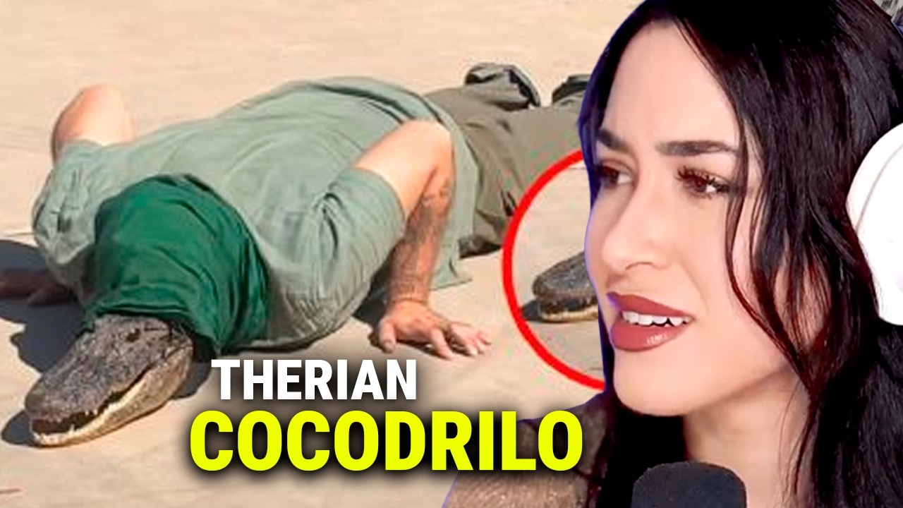 El Therian Cocodrilo... Y reuniones masivas en todas las ciudades | Maricel