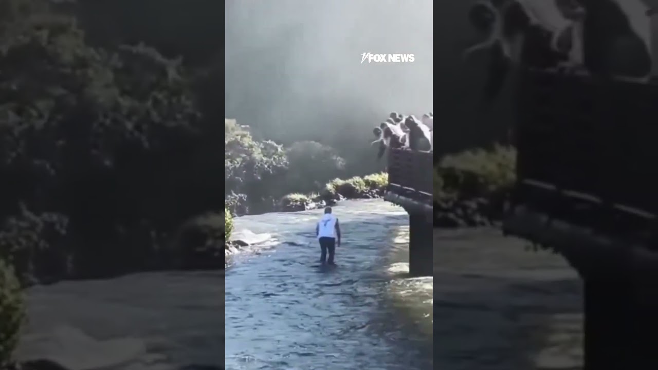 Tourist risks deadly fall... all for a cellphone
