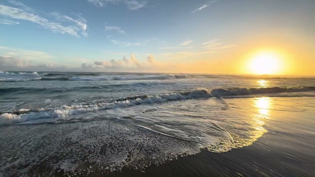 Tropical Beach Sunrise 🌴 Gentle Ocean Waves ASMR for Deep Relaxation & Sleep