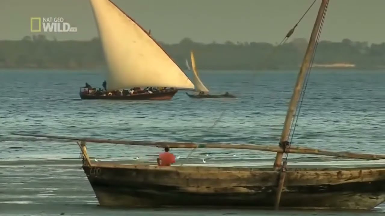 South African Dangerous And Strange Island Zanzibar Tanzania Documentary 2020 HD @abrentertainment4676